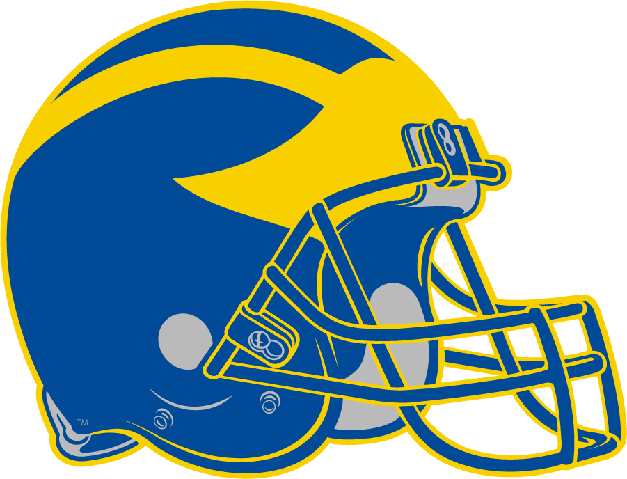 Delaware Blue Hens 2009-Pres Helmet Logo iron on transfers for T-shirts